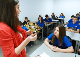 Asocijacije na času srpskog