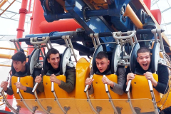 slike-galerija-vertikalne08