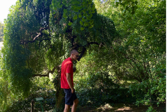 botanicka-basta_0008_IMG_5538.HEIC_