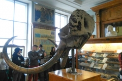 IMG-816ec1b4f6fa18459923d4d1716936f7-V