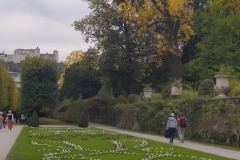 viber_image_2019-10-14_14-25-10