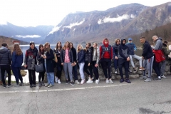 IMG-85327b4c32584294890656f215acf371-V