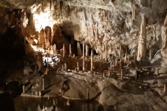 viber image 2019-04-10 , 14.36.15