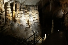 viber image 2019-04-10 , 15.30.07