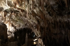 viber image 2019-04-10 , 15.30.10