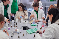 20250328_131825 20250328_131825