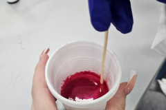 20250328_132831 20250328_132831