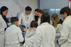 20250328_133333 20250328_133333