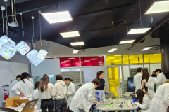 20250328_133546 20250328_133546