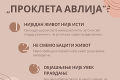 Јана Јанковић, Шта нас учи Проклета авлија