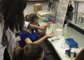 Mala škola DNKlogije 2017.