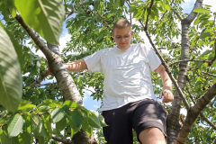 IMG-01638acba37c288ee11d34d65a400dd3-V