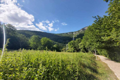 IMG-19c67a43ccfa379168e002e8f87e44a1-V