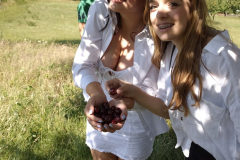 IMG-502932f50a8a42a8ab6273f3120cb235-V