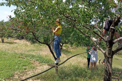 IMG-7404c7828a47df5438d749fe9c88073e-V