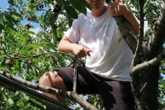 IMG-9d121992f3b0b8b70a8abb748b99cd4c-V