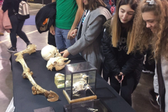 SG_festival_nauke-20