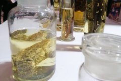 SG_festival_nauke-43