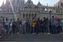 IMG-36a26192461252fe8de75cb357b37a19-V