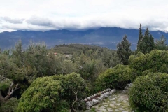 IMG-d1d405f52ad0c453a850f7ad84f19d5c-V