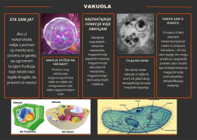 „Dekonstrukcija i konstrukcija reklame”