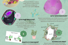 Cream Classic Retro Texture Indonesian Food Menu