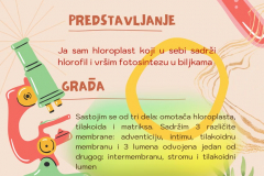 Organic vintage floral inspiring quote  poster