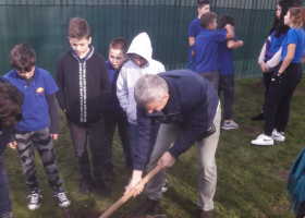 Sadnja drveća u Savremenoj