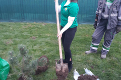 SG_sadnja_drveca_galerija_11