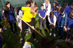 SG_sadnja_drveca_galerija_12