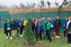 SG_sadnja_drveca_galerija_13