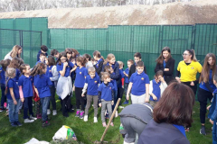 SG_sadnja_drveca_galerija_4