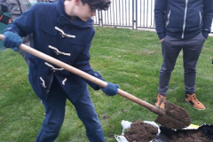 SG_sadnja_drveca_galerija_8