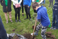 SG_sadnja_drveca_galerija_9