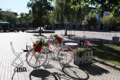 Galerija11_Terenska_nastava