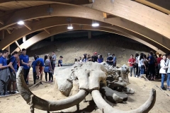 IMG-4ba6ddf93d88b9bebd3089c2d96847ef-V