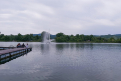 viber_image_2021-05-24_16-35-52