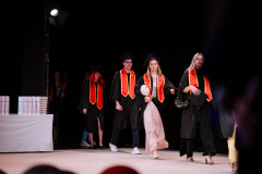 Image_Alex_Dmitrovic_0011