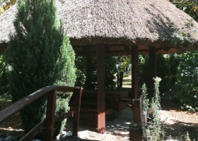 Sportski dan u centru „Kovilovo”