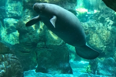 f96fe583-8327-4d47-83e5-ffd0279b6559