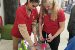 dan-dobrote-galerija4