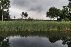 SG_terenska_nastava-18-of-28