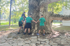 topcider_0000_IMG_1484.HEIC_