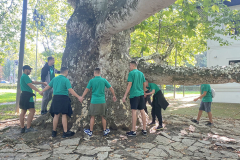 topcider_0001_IMG_1485.HEIC_