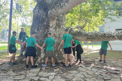 topcider_0002_IMG_1486.HEIC_