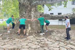 topcider_0044_IMG_1558.HEIC_