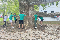 topcider_0046_IMG_1560.HEIC_