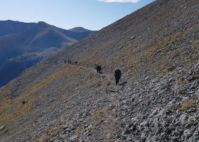 Učenici Savremene na Olimpu