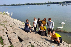 IMG-35197a70cb694cc2034e5155fb36c881-V