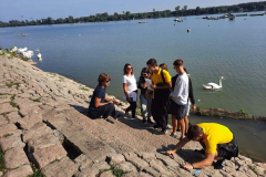 IMG-e5e4afd0d2d1cbcbd117c4c7da41b6e4-V